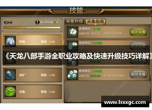 《天龙八部手游全职业攻略及快速升级技巧详解》