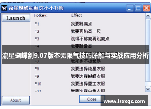 流星蝴蝶剑9.07版本无限气技巧详解与实战应用分析