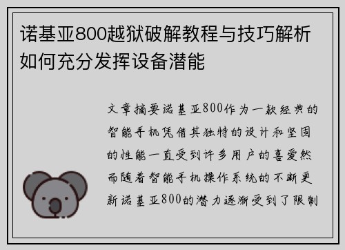 诺基亚800越狱破解教程与技巧解析 如何充分发挥设备潜能